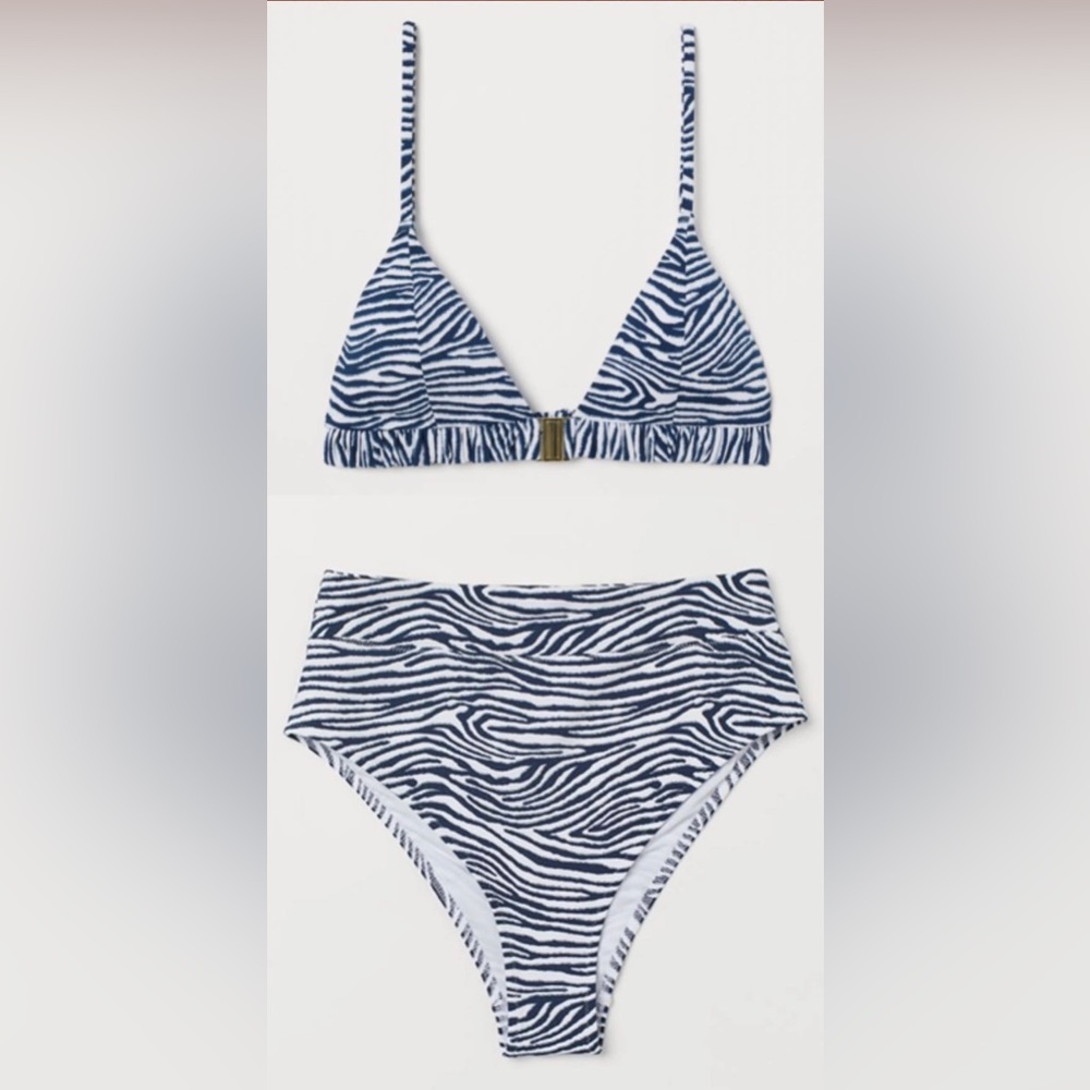 Blue Zebra 2pc Bikini set